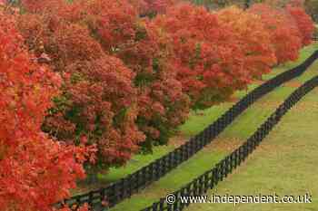 The US fall foliage forecast is out. Here’s where to see the most vibrant colors this year