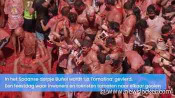 Chaos in Spanje: duizenden mensen bekogelen elkaar tijdens ‘La Tomatina’