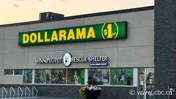 Security guard stabbed in robbery at Winnipeg Dollarama store