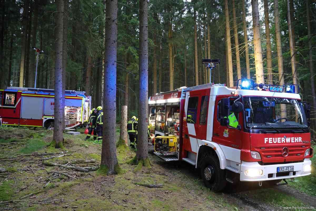 Waldbrand im Erzgebirge: Feuerwehren proben den Ernstfall im Grünhainer Forst