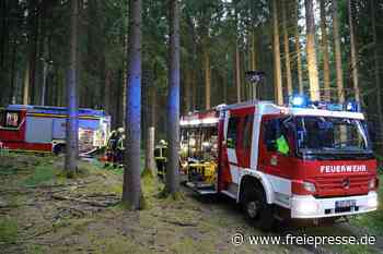 Waldbrand im Erzgebirge: Feuerwehren proben den Ernstfall im Grünhainer Forst