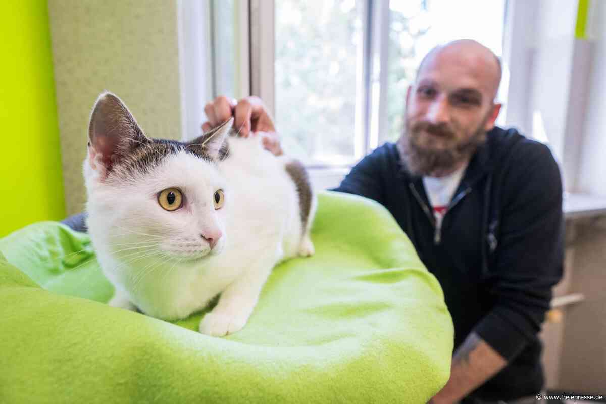 „Ich liebe diesen kleinen Kerl“: Finn kämpft sich im Stollberger Tierheim zurück ins Leben
