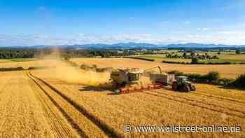 Kosten explodieren: Teurer Diesel wird für Landwirte zur Existenzfrage