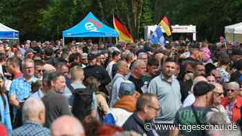 Stärke der AfD in Sachsen-Anhalt: "Der Osten ist eher das Normal"
