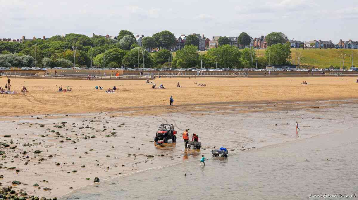 Nurdle fury as clean-up team cut back and volunteers 'exploited' in fight against pollution disaster