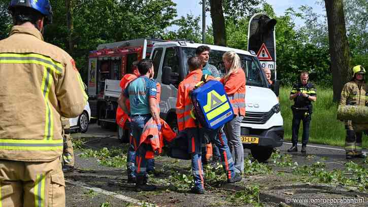 Dodelijk ongeluk Boxtel: veiligheid in het geding, alle bomen moeten om