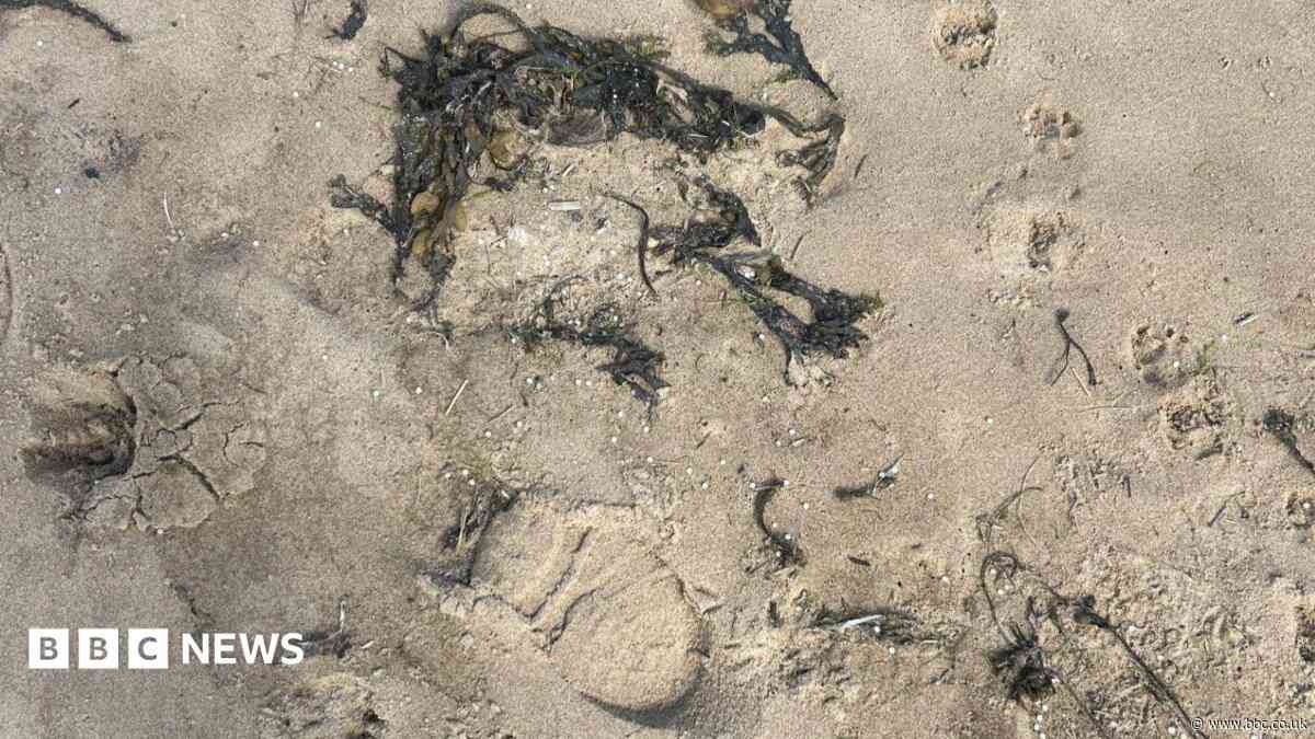 Plastic nurdles wash up on beaches 30 miles away