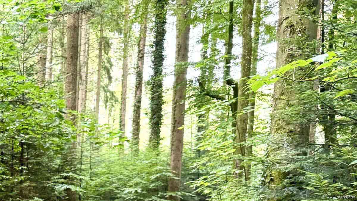 Waldmann: Jetzt greifen die Behörden durch