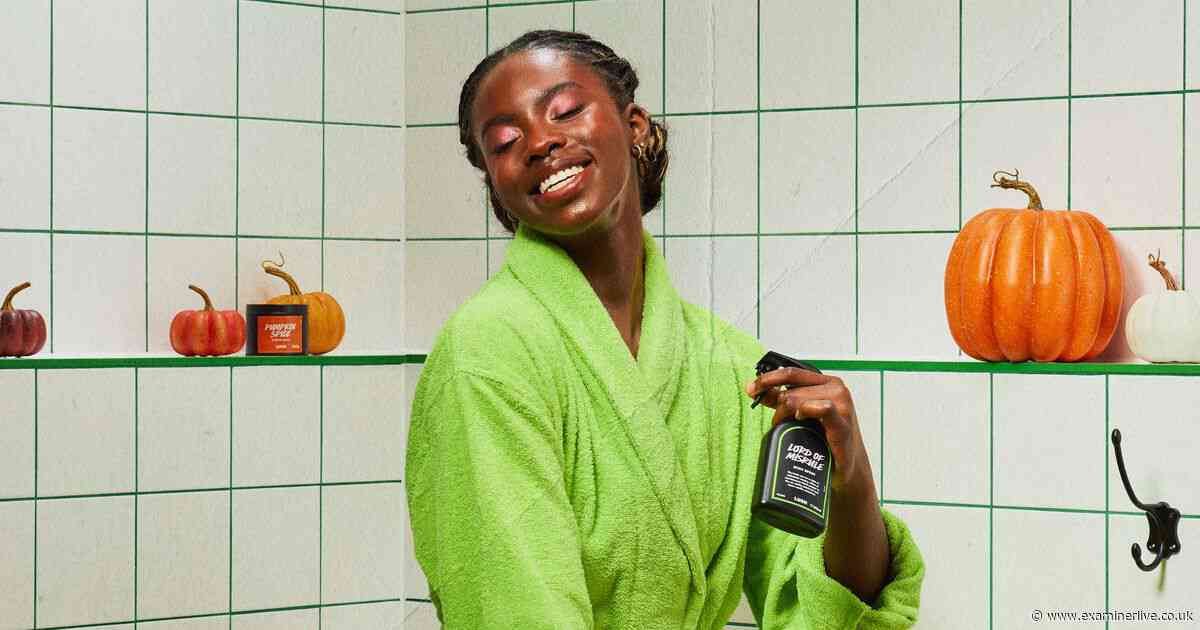 Take a look at some of Lush's amazing autumn collection products