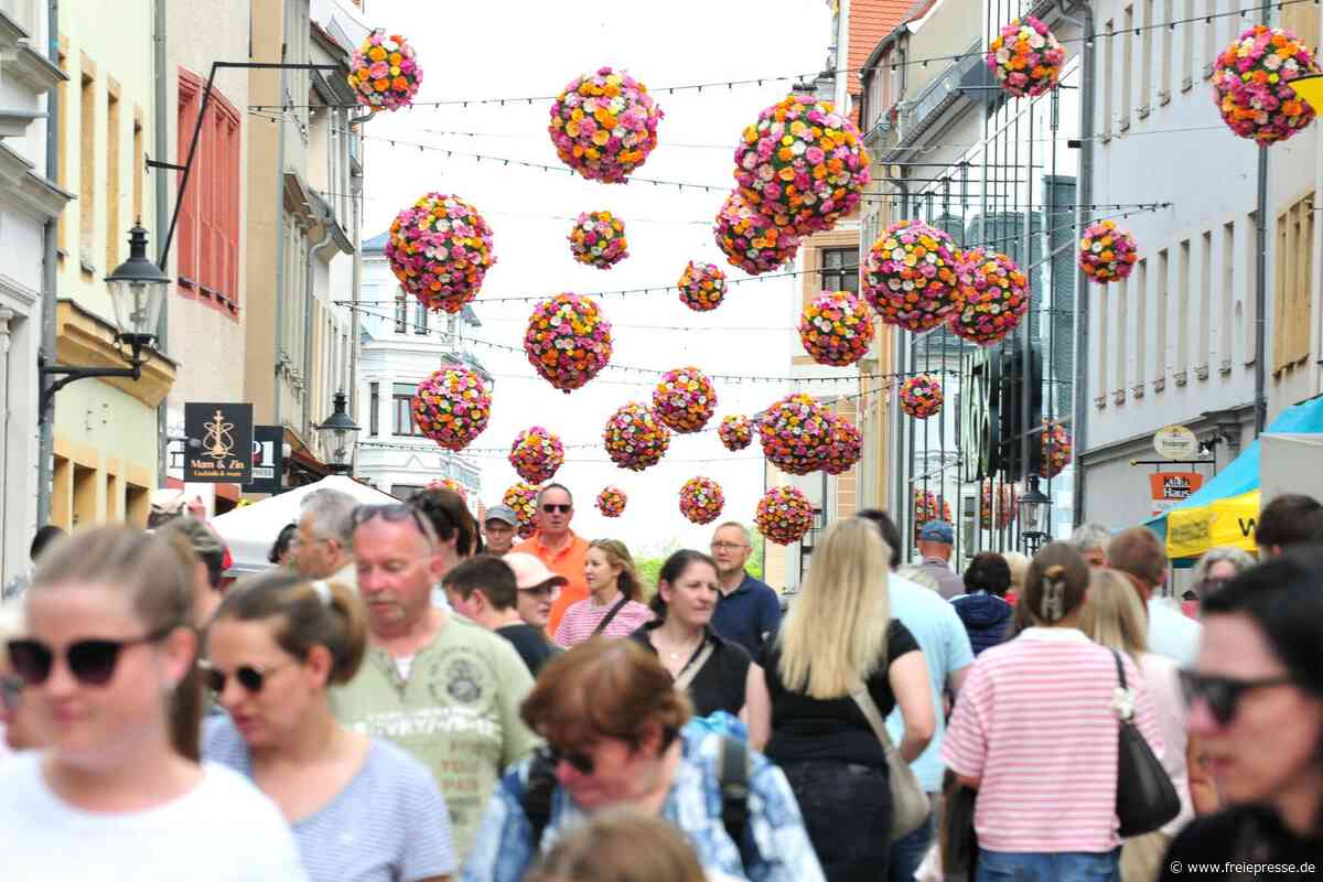 Befragung in Innenstadt: Wie attraktiv ist der Stadtbummel in Freiberg?