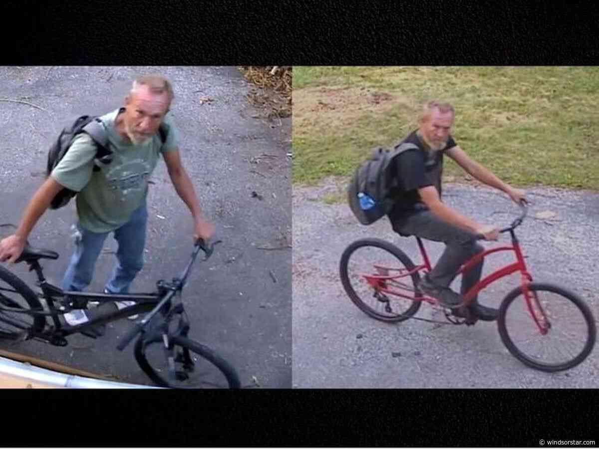 Windsor police search for culprit following break-in and 'repeated prowling'