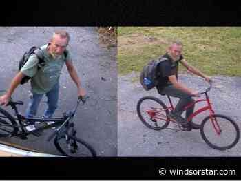 Windsor police search for culprit following break-in and 'repeated prowling'