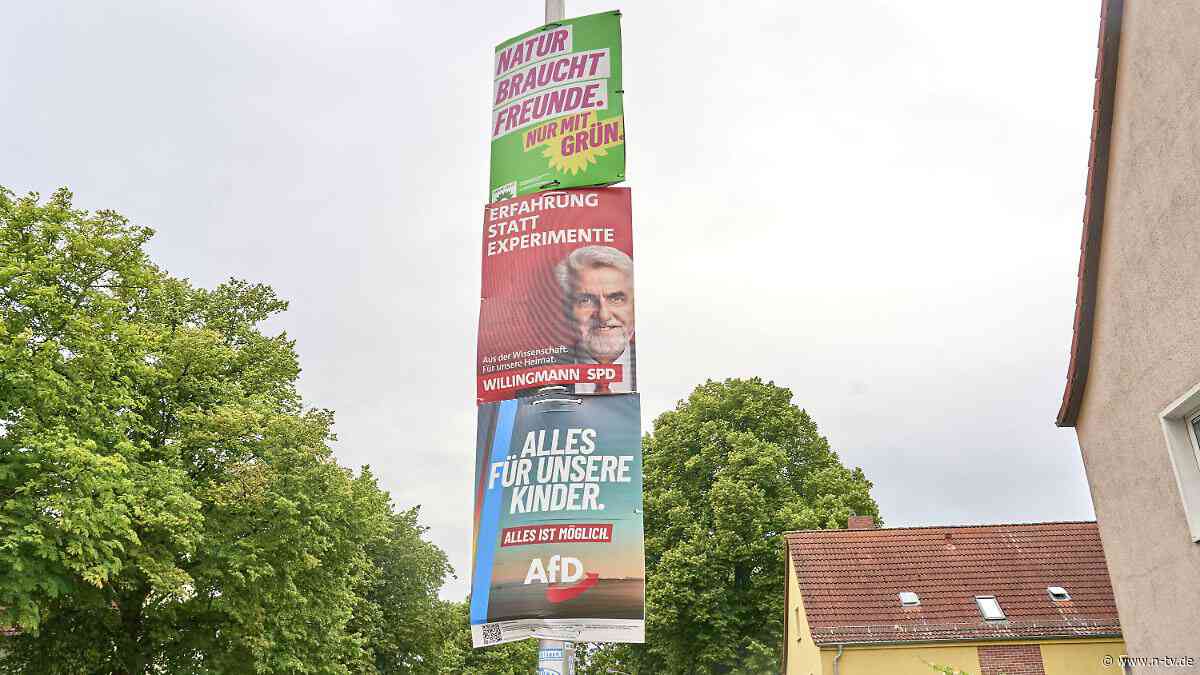 CDU verliert in Umfrage: AfD in Sachsen-Anhalt baut ihren Vorsprung aus