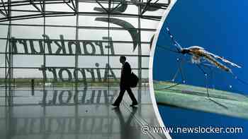 Twee medewerkers luchthaven Frankfurt overleden aan malaria