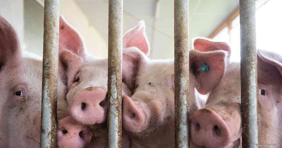 Brüssel beanstandet deutsche Pläne für Tierhaltungslogo