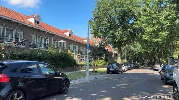Laadpaal in lantaarnpaal: slim idee, maar stroomnet gooit roet in het eten