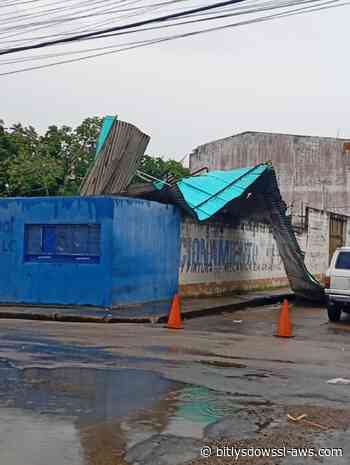Árboles caídos y viviendas afectada en Maturín por paso de onda tropical