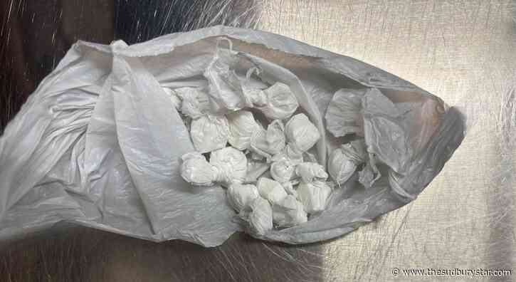 Sudbury police release details of illegal drug crackdown in city