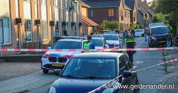 Dode bij steekincident in woning in Neede