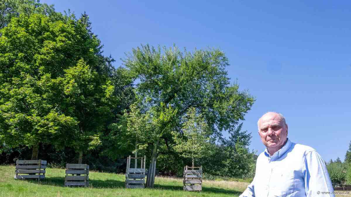 Uli Hoeneß muss vor Gericht – Nachbar klagt wegen zwei Bäumen