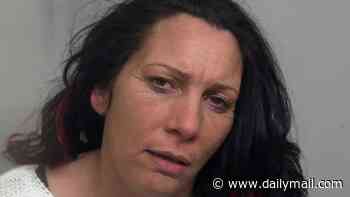 Woman, 52, who laundered more than £50k for husband and son's gun factory business at illegal traveller site avoids jail due to prison overcrowding