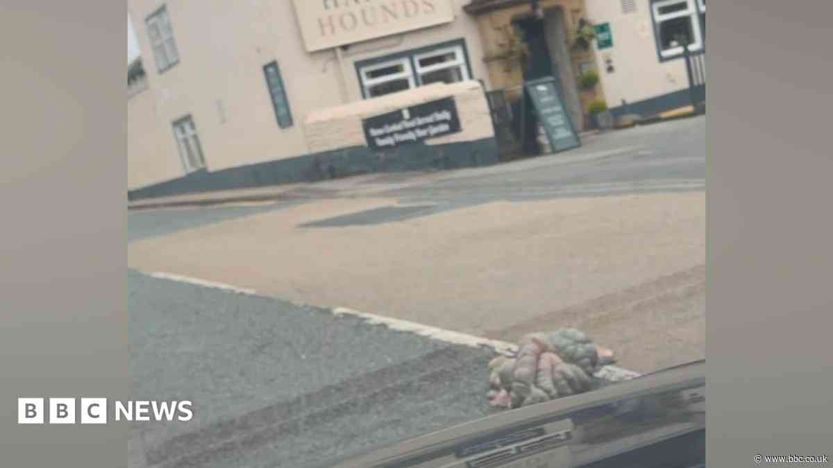 Offal spill was 'like a horror film', says driver