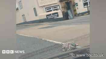Offal spill was 'like a horror film', says driver