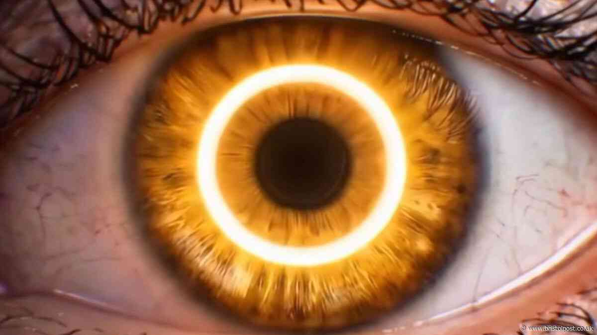 ITV announce Big Brother companion show fronted by iconic winner