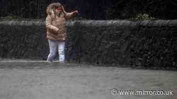 Environment Agency warns of 16 flood alerts as one month's rainfall to batter part of UK - see full list