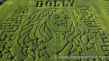 ‘A tribute to her legacy': Brookfield corn maze honors Dolly Parton