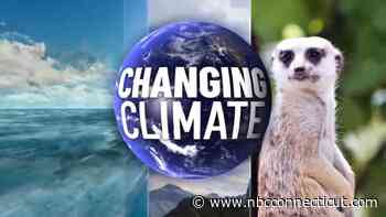 CT residents increasingly concerned about climate change, Yale survey finds