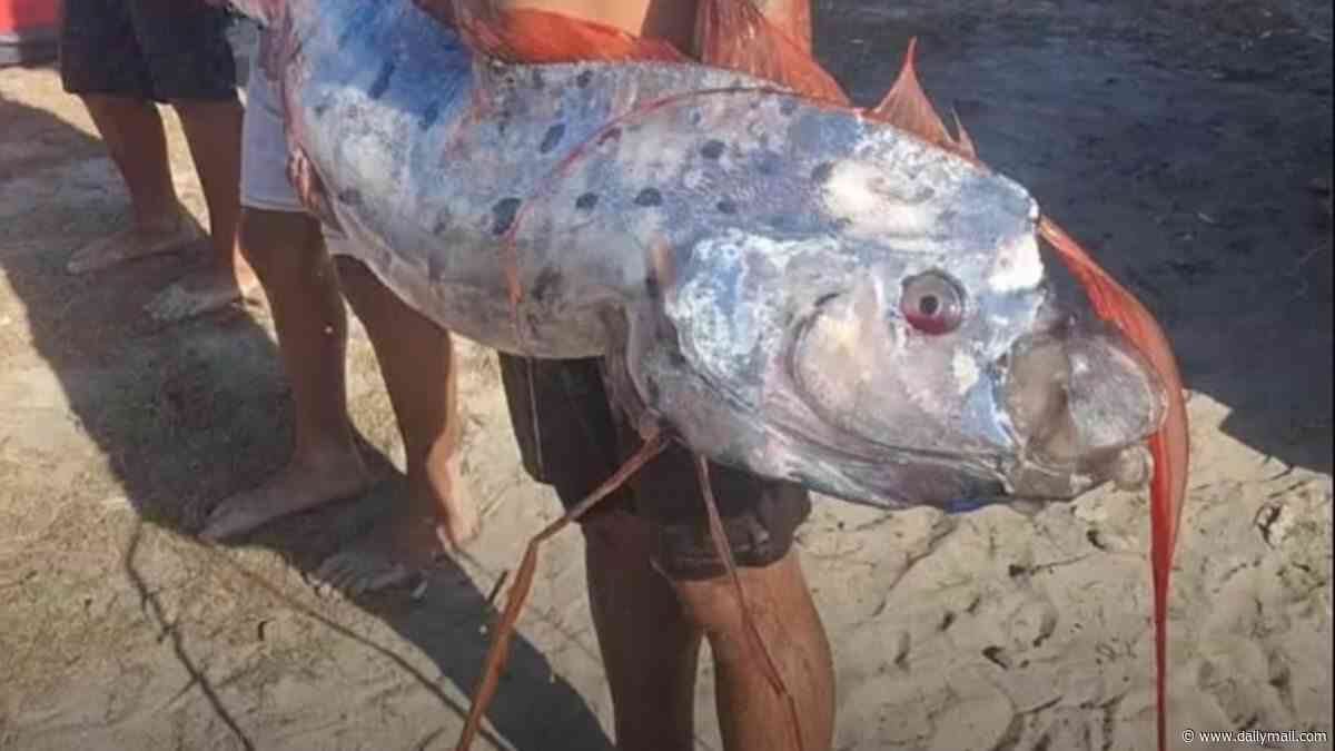 Ominous 13ft 'doomsday fish' washes up dead as eerie legend claims catastrophe could follow