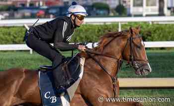 Chad Brown gives Sea Strike 'big chance' in Travers