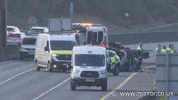 Car crashes through flyover railings and falls onto busy M50 in Ireland