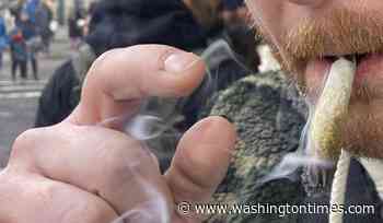 Study warns marijuana users suffering 'scream-vomiting' to quit the drug