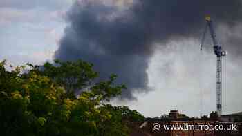 Huge plumes of smoke fill sky as 125 firefighters tackle Mitcham grass blaze