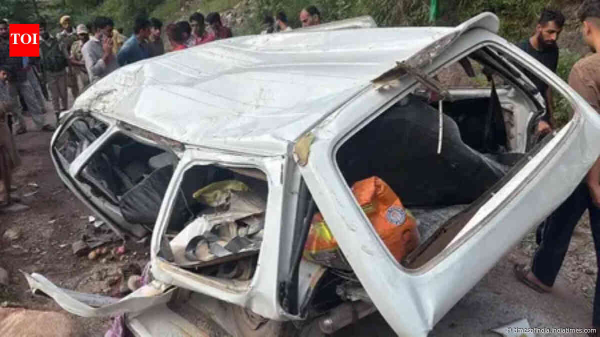 6 dead, 3 hurt as vehicle falls into gorge in J&amp;K’s Poonch