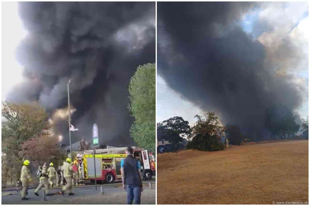 Mitcham fire: 125 firefighters battle huge blaze in south London as smoke billows across sky