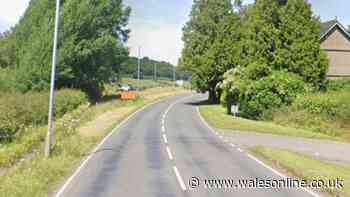 Motorcyclist dies after crash with van on A4067 near Cray