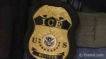 ICE detainment  reach second-term high for Trump administration: Report