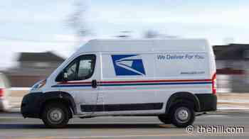 Georgia mail carrier sentenced after stealing $1M in checks: DOJ
