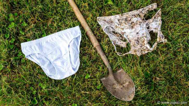 ‘Proof by Underpants’ offers a cheeky way to test soil
