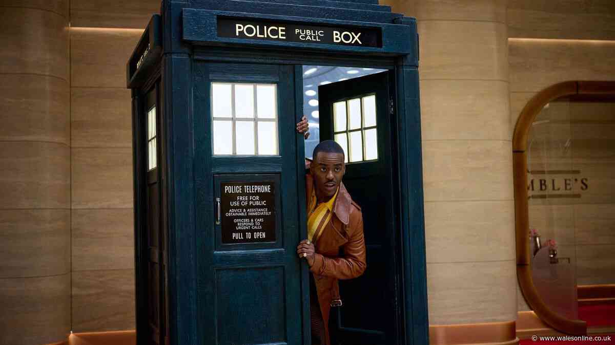 Netflix boss says 'Doctor Who will have many lives' amid BBC tender speculation