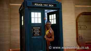 Netflix boss says 'Doctor Who will have many lives' amid BBC tender speculation