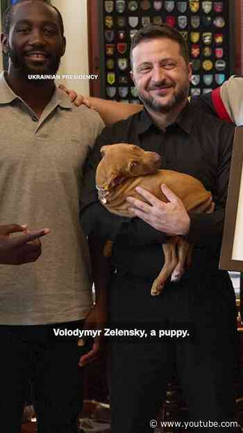 American boxer gifts Zelensky a puppy