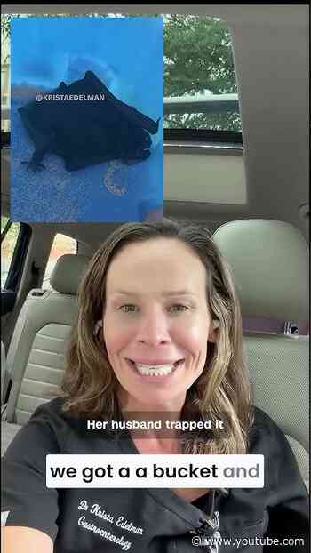 She woke up with a bat on her mouth