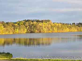 Major Improvements Coming to Walker County Public Fishing Lake