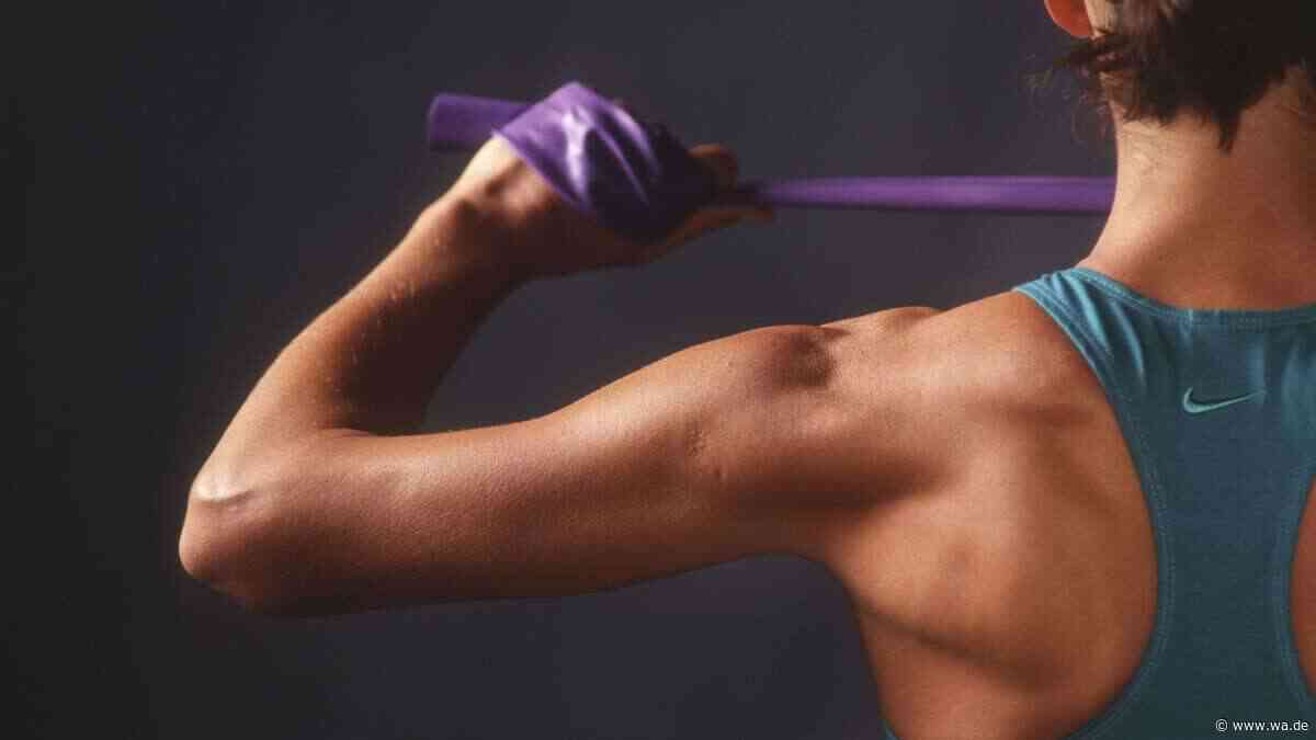 Forschende zeigen, wie Muskeln ohne Training wachsen könnten