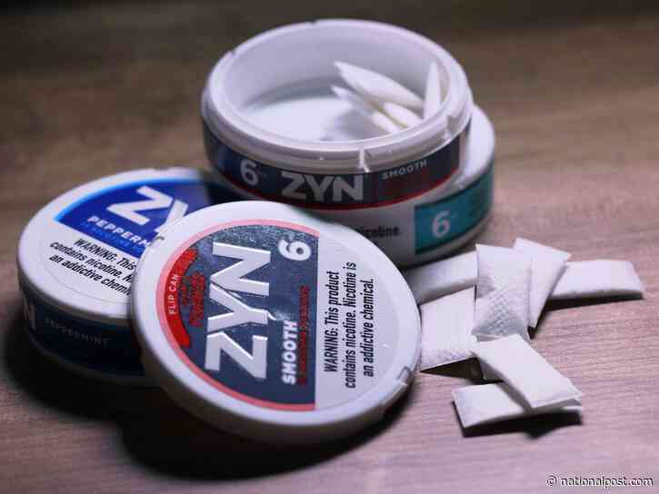 A cross-country road trip uncovered a booming illicit nicotine pouch market