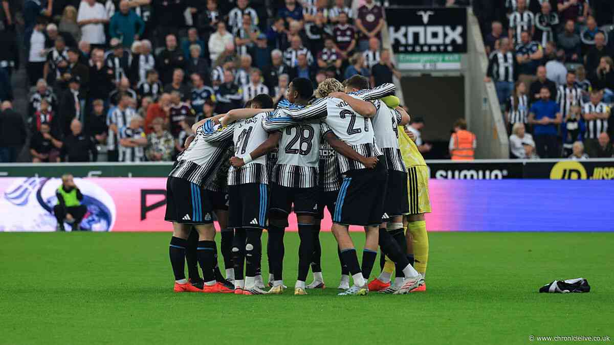 Newcastle United player ratings with new boy's perfect 10 and Woltemade concern in West Brom win